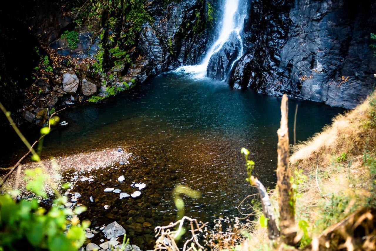 Готель The Postcard Hideaway, Netravali Wildlife Sanctuary, Goa Vichondrem Екстер'єр фото