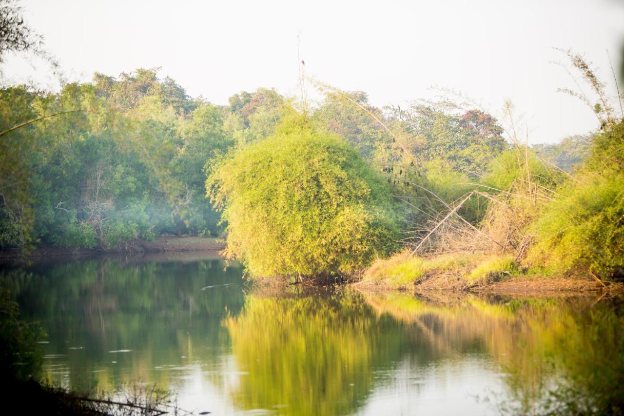 Готель The Postcard Hideaway, Netravali Wildlife Sanctuary, Goa Vichondrem Екстер'єр фото